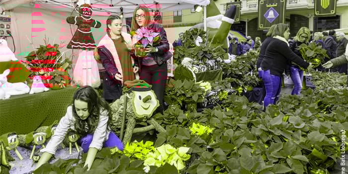 Fair of the Puríssima in Sant Boi de Llobregat