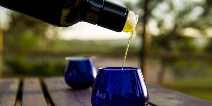 Olive oil tasting at the El Molí Cellar