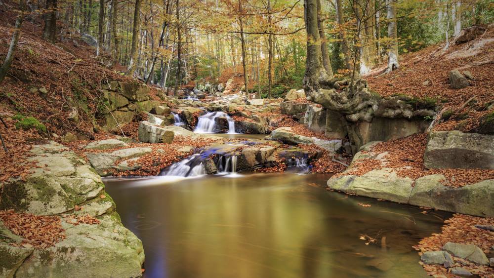 Montseny