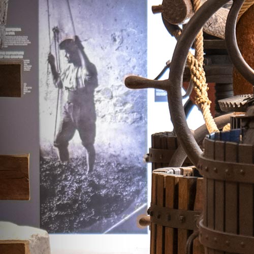 Detall interior del Vinseum