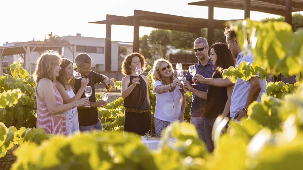 Grup de persones fent una cata de vins en un celler