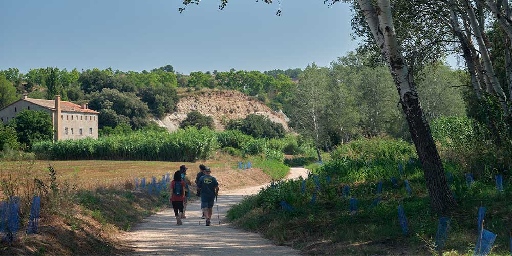 Ruta dels molins de la Via Blava.