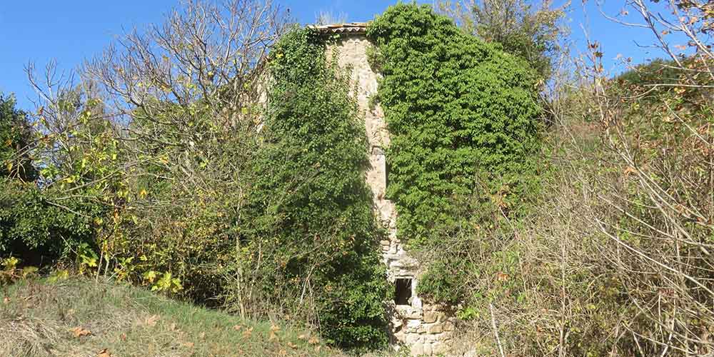 The de la Sala mill.