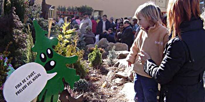 Feria del Abeto de Espinelves