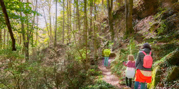 Fageda de la Grevolosa, Sant Pere de Torelló